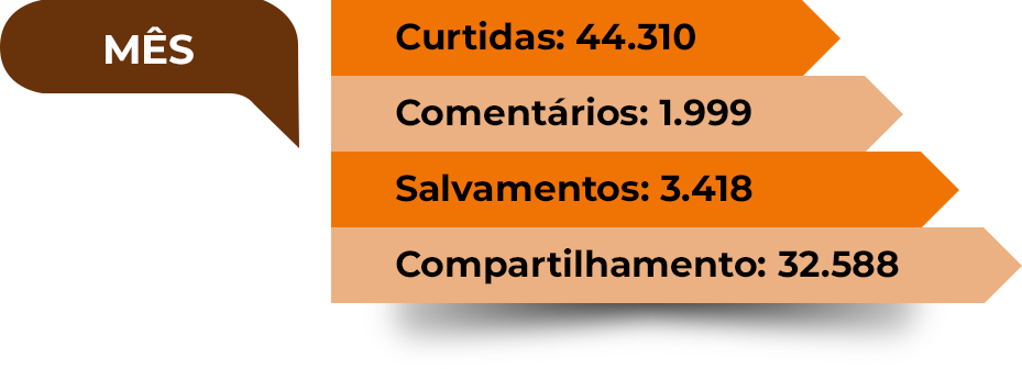 Dados de engajamento reels mensal