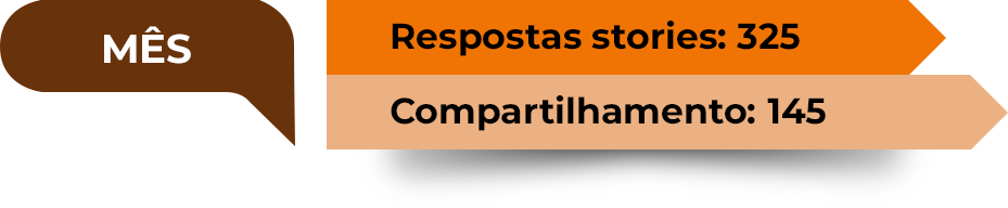 Dados de engajamento stories mensal